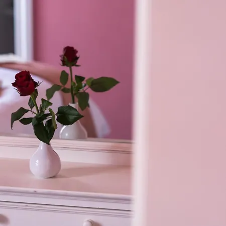 Boutique Anagennisis