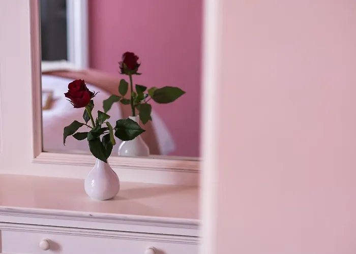 Boutique Anagennisis