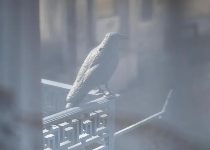 Boutique Anagennisis 4* Pírgos