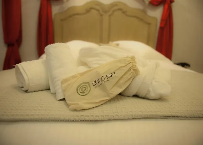 Boutique Anagennisis